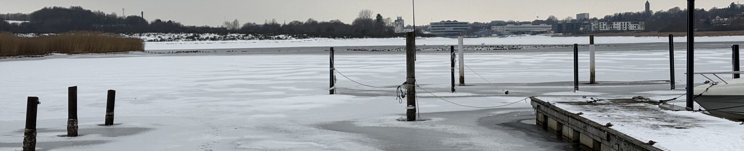 Vinteren sætter en stopper for de fleste aktiviteter